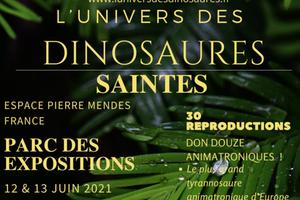 photo L'univers des dinosaures