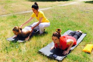 photo des cours de yoga au coeur de la forêt de Fontainebleau