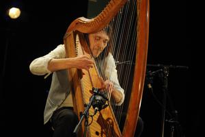 photo Christophe GUILLEMOT joue sur les harpes celtiques qu'il a fabriqué à l'Abbaye de PAIMPONT