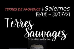 photo Exposition « Terres Sauvages »