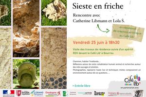 SIESTE en FRICHE - Rencontre avec Catherine Libmann et Lola S.