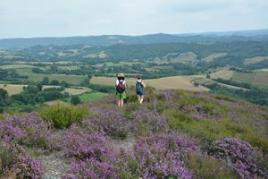 photo Entrer en paysage. Sortie nature et rencontre