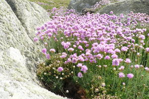 découverte de la flore,la faune et l'histoire locale