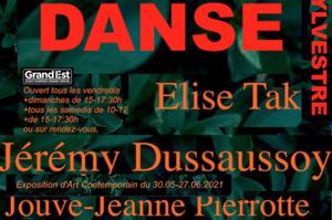 photo Espace d'Art Contemporain Les Thermes+ résidences d'artistes : ¨Danse Sylvestre¨