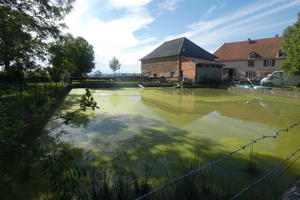 VISITE DE LA FERME