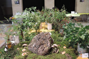 photo la nature en automne - champignons et fruits sauvages