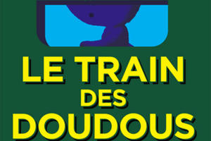 TRAIN DES DOUDOUS