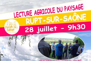 Lecture agricole du paysage