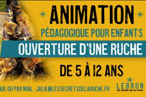 photo Lebrun Apiculture – Animation Pédagogique pour enfants – Ouverture d'une ruche