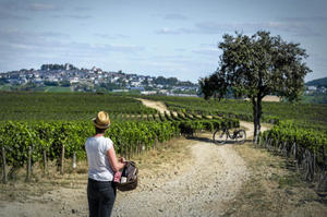 photo Château de Sancerre « Le Vignoble à vélo »