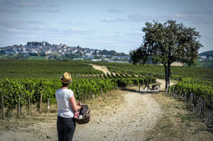 Château de Sancerre « Le Vignoble à vélo »