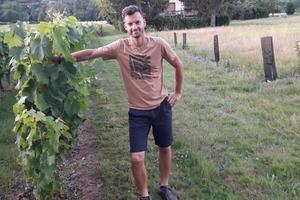 photo Vignes ouvertes, sols couverts : Le nectar du vignoble