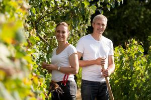 photo Vignes ouvertes, sols couverts : A la rencontre d’une viticulture durable