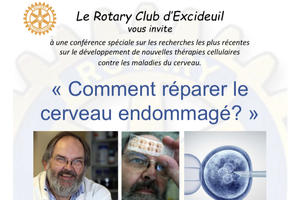 photo Comment réparer le cerveau endommagé