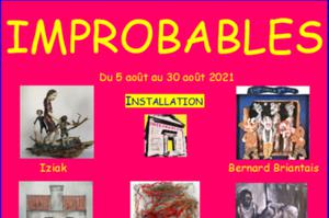 photo IMPROBABLES