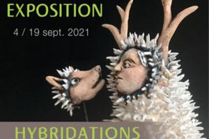 Exposition Hybridation
