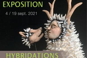 photo Exposition Hybridation