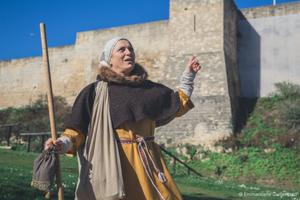 Caen, Le château de Guillaume le Conquérant et sa pierre blonde