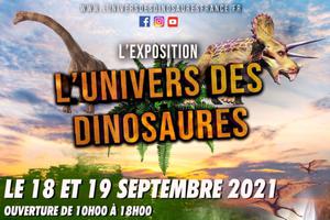 Exposition « l’univers des dinosaures »