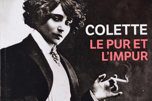 photo Lecture Le pur et l'impur par Sylvie Teissier