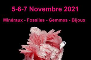 photo Salon International Minéraux, fossiles, pierres taillées, bijoux Paris