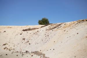 CONTRECHAMPS : UNE EXPOSITION À LA MAISON DE LA PHOTOGRAPHIE DES LANDES, à Labouheyre.