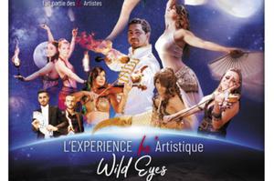 photo FEEL' ART Spectacles -  L'Expérience artistique Wild Eyes