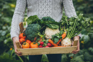 photo 31 octobre: Marché au Château Vaudrémont