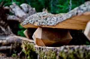 photo Châteauvillain : Exposition dans le Parc national de forêts