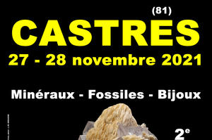 photo 2e SALON MINERAUX FOSSILES BIJOUX de CASTRES (Tarn)