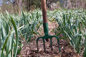 Conférence : Le jardin et le potager en automne