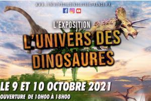 L’EXPOSITION - L’UNIVERS DES DINOSAURES