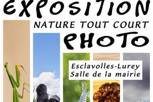 Exposition photo 