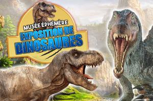 Le Musée Ephémère: les dinosaures arrivent à Saint Raphaël