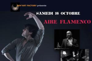 photo Spectacle AIRE FLAMENCO