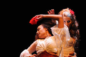 Carmen Flamenco