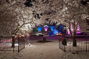 photo Noël au Jardin - Le Prince des Voleurs