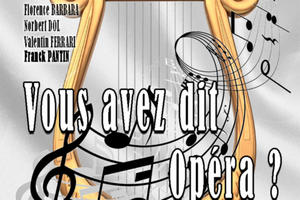 VOUS AVEZ DIT OPERA ?