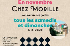 Novembre Gourmand _ CHEZ MORILLE