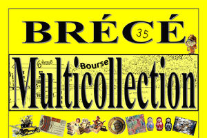 6ème bourse multicollection