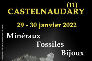 photo 1er SALON MINERAUX FOSSILES BIJOUX de CASTELNAUDARY (Aude)