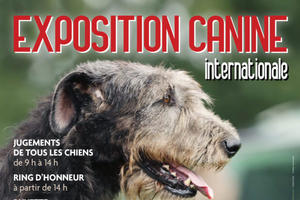 photo Exposition Canine Internationale