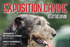 Exposition Canine Internationale