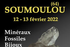 12e SALON MINERAUX FOSSILES BIJOUX de SOUMOULOU (64)