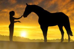 imaginez reprendre confiance en vous grâce aux chevaux