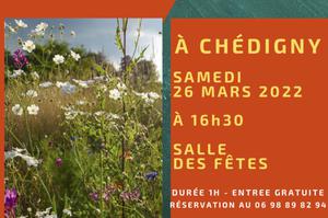 photo le jardin sauvage la biodiversité