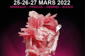 Salon international minéraux fossiles gemmes bijoux Paris
