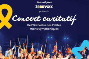 Concert caritatif avec la Petites Mains Symphoniques