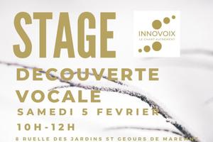 STAGE DE CHANT / DECOUVERTE VOCALE