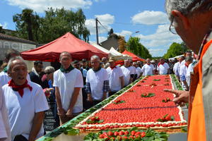 FOIRE A LA FRAISE,AUX FLEURS  ET AU VIN